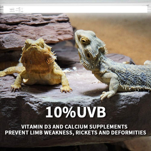 LUCKY HERP 15inch 14W T8 UVB 10.0 Reptile Light, UVA UVB Bulb, Fluorescent Lamp for Reptiles and Amphibians