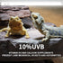 LUCKY HERP 15inch 14W T8 UVB 10.0 Reptile Light, UVA UVB Bulb, Fluorescent Lamp for Reptiles and Amphibians