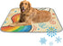 imiBBWQu Cooling Mat for Dogs Paper Airplane with Rainbow Dog Grass Mat Washable