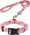 Dog Collar and Leash Set, Adjustable Cute Design with Bohemia Floral Patterns for Small Medium Large Dogs (Strawberry