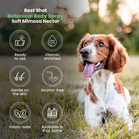 Best Shot Scentament Spa Botanical Body Splash, Body Spray Conditioner for Pets, 8 Oz