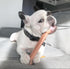 Nylabone Power Chew Classic Bone Chew Toy for Dogs, Bacon Flavor, Large/Giant - Up to 50 lbs. (1 Count)