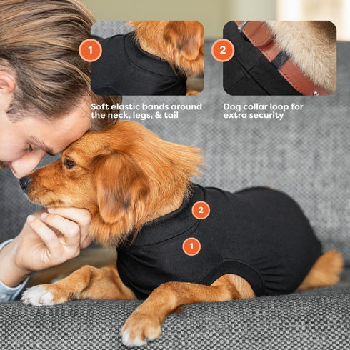 Suitical Recovery Suit for Dogs - Comfortable Post-Surgery Suit with Hold-Up System for Spay, Neuter, Skin Issues -