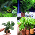 20 Pcs Aquatic Water Plant Fixed Rings - Ceramic Pottery Gravity Ring for Fish Tank