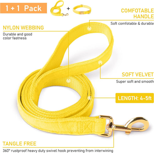 GAMUDA Velvet Dog Collar and Leash, Super Soft Heavy Duty with Gold Buckle, Adjustable Collar for Dog (XS, Yellow)