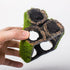 Aquarium Décor Resin Fish Tank Decorations, Artificial Tree Trunk Root (C)