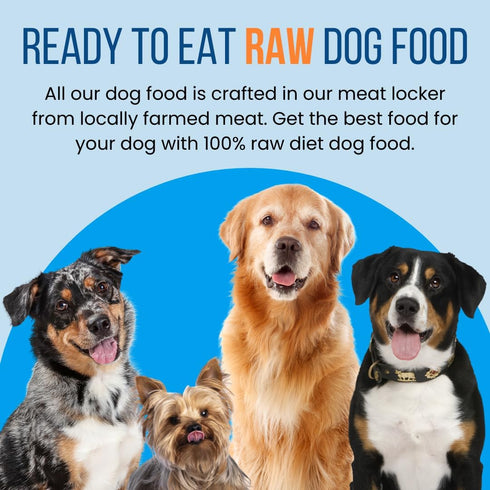 Freeze Dried Raw Beef Heart for Dogs, Quality Dehydrated 100% Raw Meat Dog Food for Small and Large Breeds, Made in USA