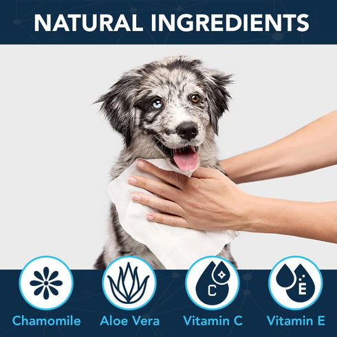NOVEHA Dog Wipes - Odor Eliminating and Cleaning Grooming Wipes for Dog's Paws, Body, and Butt (360 Counts)
