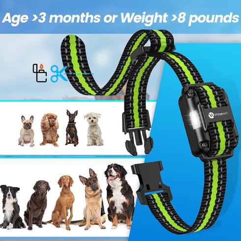 Dog Training Collar with Remote, 2600Ft Electronic Shock Collar Set for Small Medium Large Dogs (Black Green)
