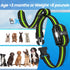 Dog Training Collar with Remote, 2600Ft Electronic Shock Collar Set for Small Medium Large Dogs (Black Green)
