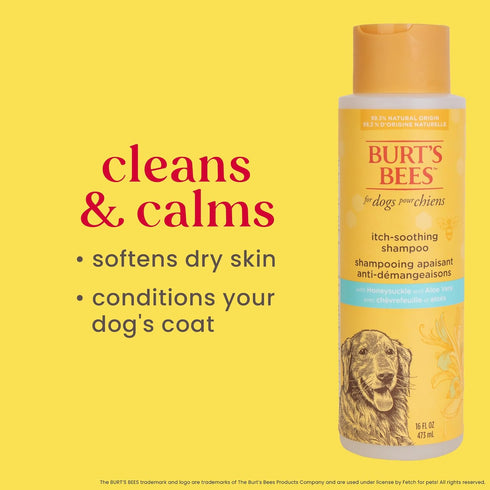Burt's Bees for Pets Itch Soothing Shampoo with Honeysuckle - Anti-Itch Dog Shampoo, 16 Ounces, Cruelty Free, USA Made