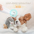 2026 Trimmer, Trimmer IP68 Trimming New Pet Precision Dog Paw with LED Light, Low Noise, Waterproof, Dual-Speed Motor