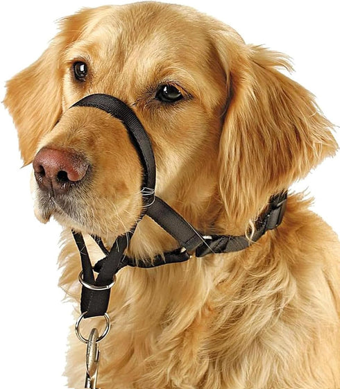 BARKLESS Soft Dog Head Collar, No Pull Training Tool for Small Dogs, Gentle Halter for Heavy Pullers
