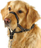 BARKLESS Soft Dog Head Collar, No Pull Training Tool for Small Dogs, Gentle Halter for Heavy Pullers