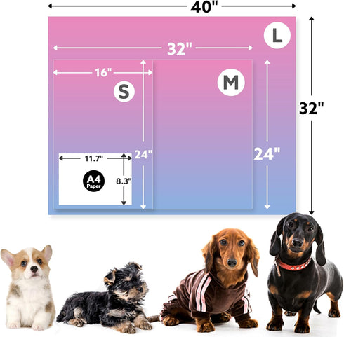 Stuffed 3pcs Premium Soft Dog Blankets, Calming Washable Cover for Bed Couch Crate Protection, 16 * 24 inches