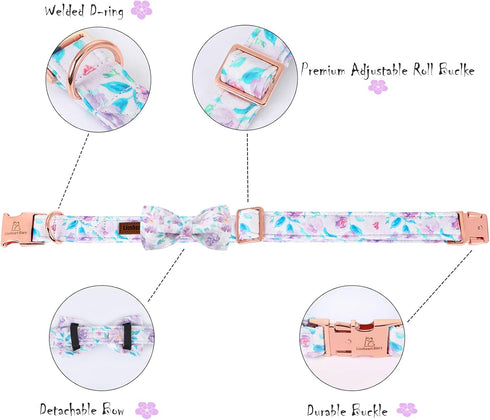 Lionheart glory Purple Dog Collar, Adjustable Collar with Bowtie, Soft Gift Collar for Small Dogs