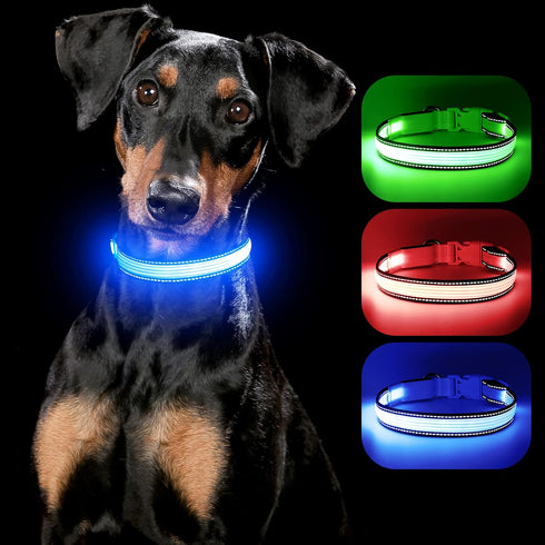 YFbrite Full Adjustable LED Dog Collar, Reflective Light Up Collar for All Dogs Safety (Medium, Blue-2)