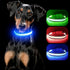 YFbrite Full Adjustable LED Dog Collar, Reflective Light Up Collar for All Dogs Safety (Medium, Blue-2)