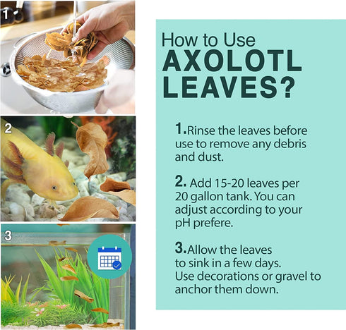 SunGrow 10 Pack Axolotl Indian Almond Leaves, 5-Inches for Aquarium Water Quality Improvement