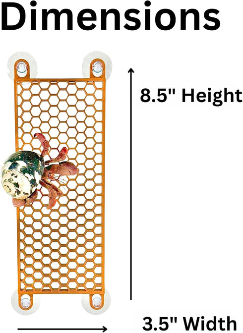 (2-Pack) Hermit Crab Climbing Ladders | Hermit Crab Tank Enrichment Decor | Decoration Accessories Supplies Toys