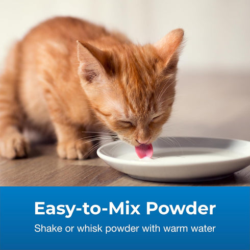 PetAg KMR Kitten Weaning Food, 2nd Step, 14 oz, Powdered Formula with DHA, Natural Milk Protein