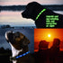 Light Up Dog Collars - Safety LED Dog Collars USB Rechargeable - 7 Changing Colors Glow in The Dark - Adjustable for