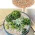 18LB Aquarium Gravel Mix Rocks for Terrarium, Fairy Gardening, Succulent, Cactus Bonsai DIY (6mm-8mm)