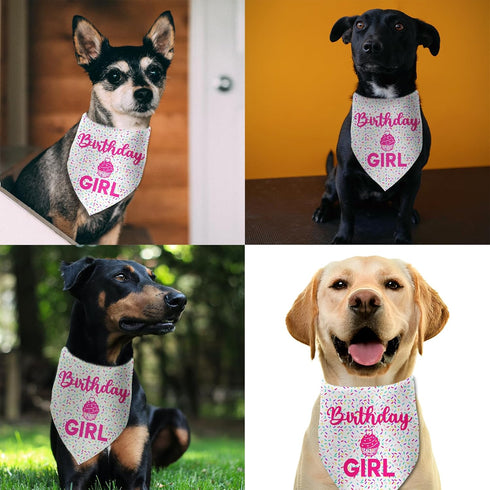 Luptiteuy Dog Birthday Bandana Birthday Girl Pet Scarf Bibs Accessories Party Supplies for Dog Lover Small Medium Puppy