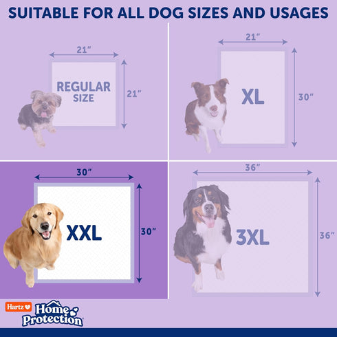 40 count Hartz Home Protection Super Absorbent Odor Eliminating Lavender Scented No Leak Dog Pads, XXL