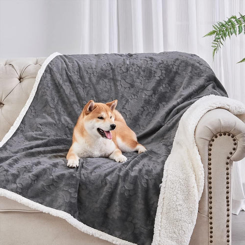 Qeils Dog Blankets for Small Dogs, Waterproof Cat Blanket, Washable Sherpa Fleece Puppy Blanket, Dark Grey (30"X40")