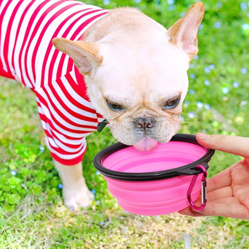 SLSON Collapsible Dog Bowls, 2 Pack Portable Pet Feeding Watering Dish for Traveling with Carabiners (Small,