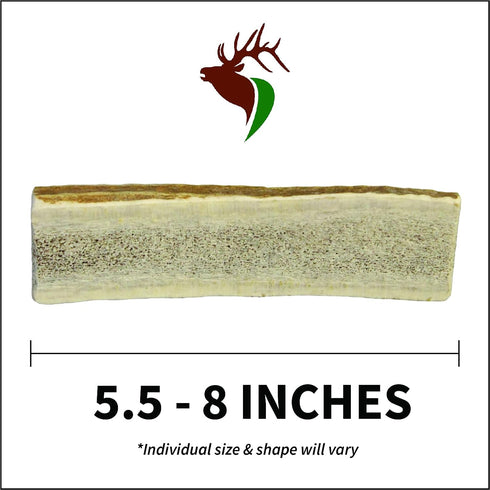 Medium Split Twin Pack Premium Grade Elk Antlers for Dogs (2 Pieces) | Sourced in The USA for 20-40 lb Dogs and Puppies