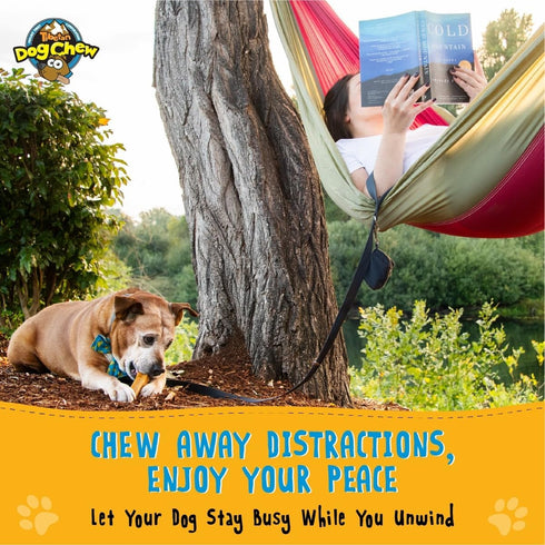 Tibetan Yak Cheese Chew Sticks - Natural Treats for Small to Large Dogs, Digestible, Promotes Dental Health, 15-Pack