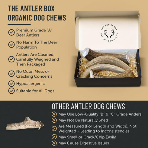 The Antler Box Premium Deer Antler Dog Chews (1 lb Bulk Pack) - X-Large (2 Antlers)