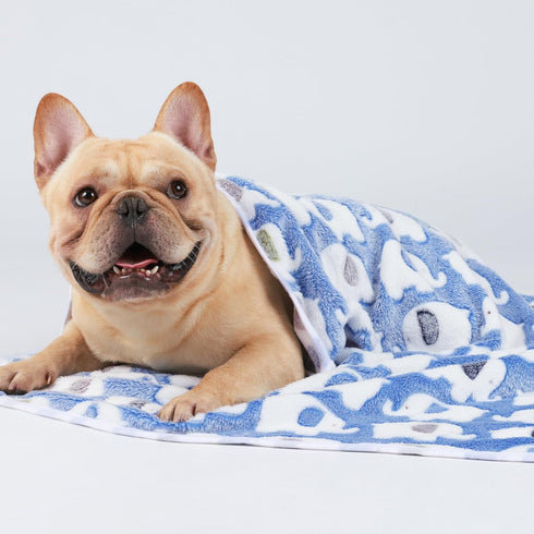 1 Pack 3 Blankets Super Soft Fluffy Cute Elephant Pattern Pet Blanket for Dog Puppy Cat (23x16 inch, Blue/Pink/Yellow)