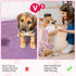 2 Pcs Dog Diaper Suspenders Female, Washable Dog Panties for Dogs in Heat with Cute Leopard Print, Escape Proof Dog