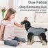 Dog Surgery Suit - Black Plaid Onesie for Female & Male Dog Spay/Neuter Recovery, Medium