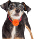 WILLBOND 8 Pieces Dog Flowers Collar Pet Charms - 8 cm Cat Pet Bow Tie for Puppy Dog Grooming Accessories