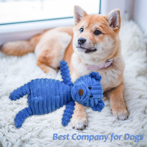 5 Pack Dog Squeaky Plush Toys, Assortment Value Bundle for Puppies, Bulk Large Dog Teething and Chew Toys