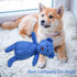 5 Pack Dog Squeaky Plush Toys, Assortment Value Bundle for Puppies, Bulk Large Dog Teething and Chew Toys