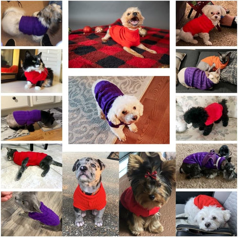 CHBORCHICEN Small Dog Sweaters, Knitted Pet Cat Warm Sweatshirt for Winter, Medium, Purple