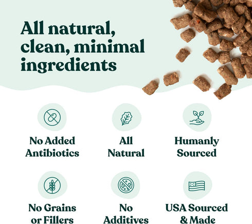Little Hunter Freeze Dried Fresh Dog Food Raw Beef Recipe, High Protein, Small Batch, Grain Free, 15 oz