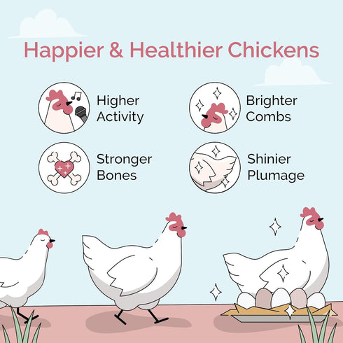 16% 2 lb Mile Four Organic Chicken Feed Layer Whole Grain, Non-GMO, USA Grown, Protein, Corn-Free, Soy-Free