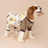 Fitwarm Monkey Dog Pajamas, Cute Dog Clothes for Small Dogs, 100% Breathable Cotton, Brown, Medium, Boy Girl