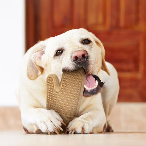 Powerbone Oven Mitt 7" Chew Toys for Dogs