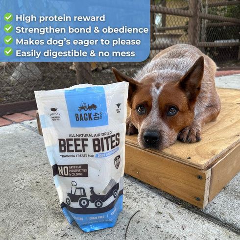 Beef Bites: All Natural Premium Air Dried Dog Training Treats, High Protein Dog Food Toppers, 16oz