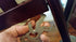 UST Tool-a-Long Multi-Tool Carabiners - Durable Stainless Steel for Hiking, Kayaking, Camping, Travel