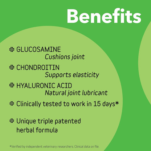 InClover Connectin Hip and Joint Soft Chew Supplement for Dogs, Glucosamine, Chondroitin, 20 Count