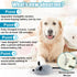 Mity rain Interactive Dog Toys, Fake Mouse Moving Toy with Automatic Sensor, Realistic Sound for Dogs & Cats