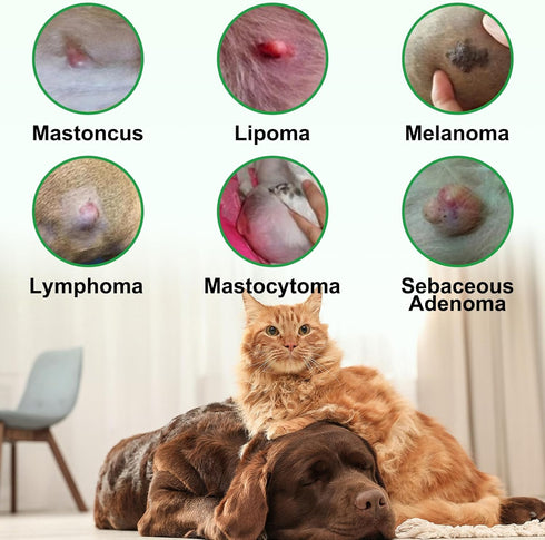 ZIXBMHYJ Lipoma Treatment for Dogs & Cats, Soften Fatty Lumps & Bumps in Dog, Castor Oil for Dogs, Pet Massage Oil